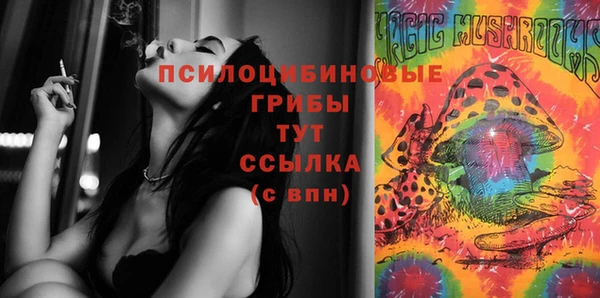 трава Кулебаки