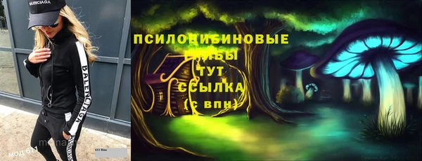 ГАЛЛЮЦИНОГЕННЫЕ ГРИБЫ Куйбышев
