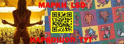 гидропоника Аргун