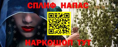 гашик Балахна