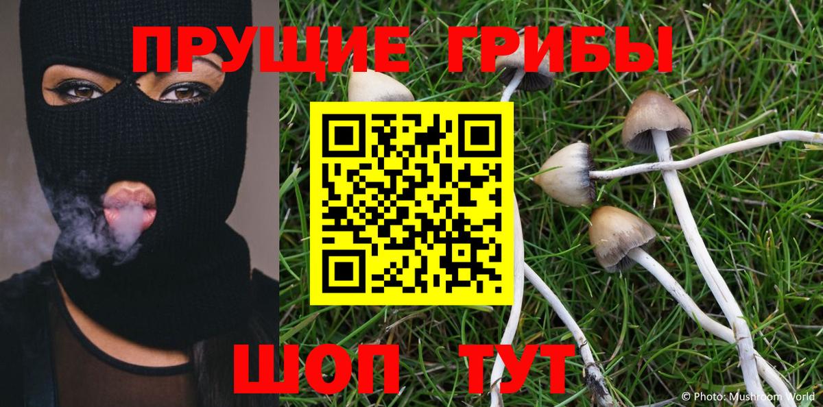 Галлюциногенные грибы Magic Shrooms Томск
