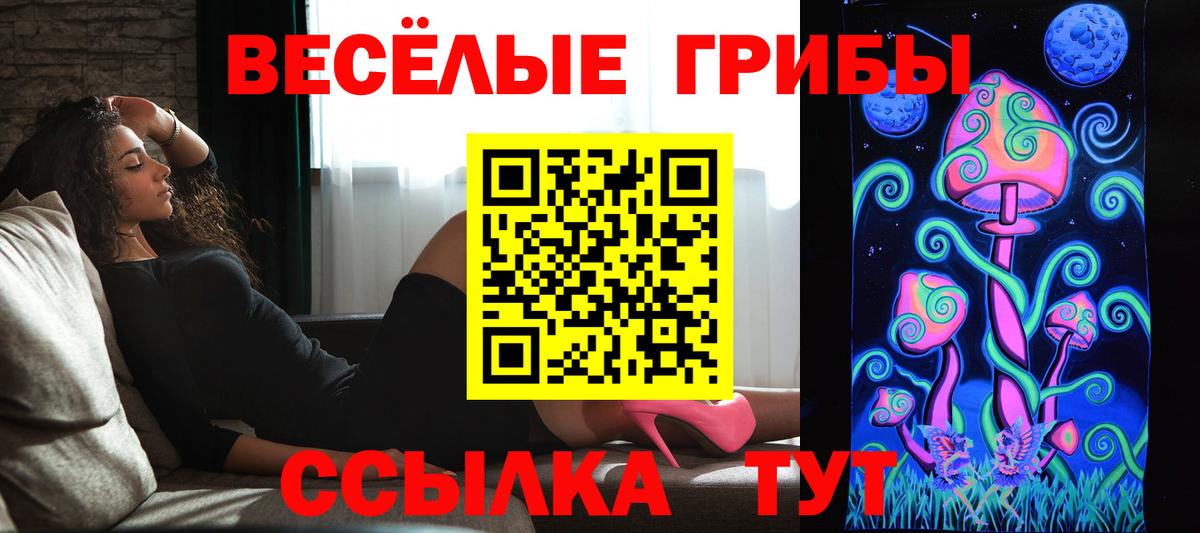 Галлюциногенные грибы Psilocybe Томск