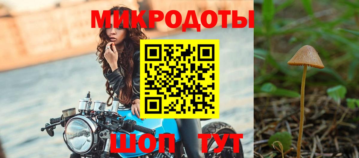 Томск  Галлюциногенные грибы Magic Shrooms  Вход с VPN 